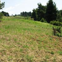 Land plot in Greece, 6500 sq.m.
