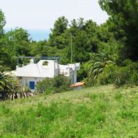 Land plot in Greece, 6500 sq.m.