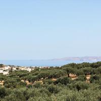 Land plot in Greece, 2500 sq.m.