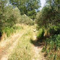 Земельный участок в Греции