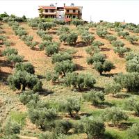 Земельный участок в Греции, 9000 кв.м.