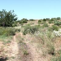 Земельный участок в Греции, 9000 кв.м.