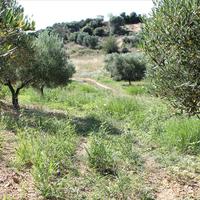 Земельный участок в Греции, 9000 кв.м.