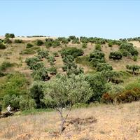 Земельный участок в Греции, 9000 кв.м.