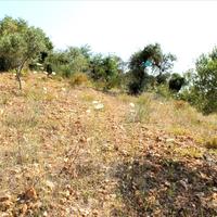 Земельный участок в Греции, 9000 кв.м.