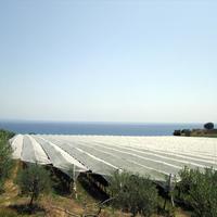 Земельный участок в Греции