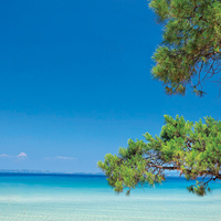 Земельный участок в Греции, 2247 кв.м.