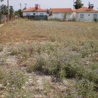 Земельный участок в Греции, 1691 кв.м.