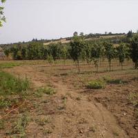 Земельный участок в Греции, 1691 кв.м.