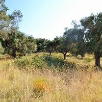 Земельный участок в Греции