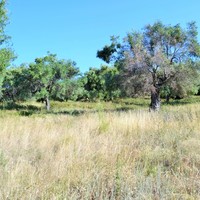 Земельный участок в Греции