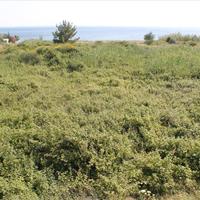 Земельный участок в Греции, 200 кв.м.