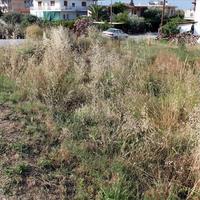Land plot in Greece, 700 sq.m.