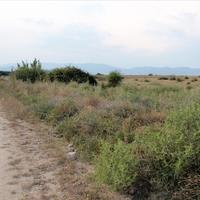 Land plot in Greece, 10550 sq.m.