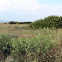 Land plot in Greece, 10550 sq.m.