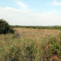 Land plot in Greece, 10550 sq.m.