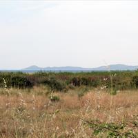 Land plot in Greece, 10550 sq.m.