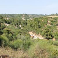 Land plot in Greece, 2008 sq.m.