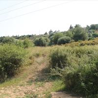 Land plot in Greece, 2008 sq.m.