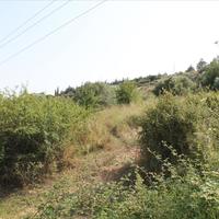 Land plot in Greece, 2008 sq.m.