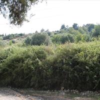 Land plot in Greece, 2008 sq.m.
