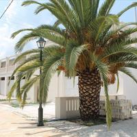 Business center in Greece, 1545 sq.m.