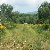 Земельный участок в Греции