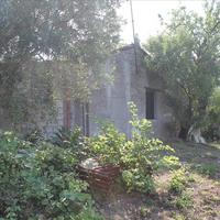 Land plot in Greece, 80 sq.m.