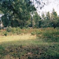 Земельный участок в Греции, 3376 кв.м.