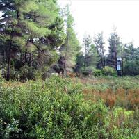 Земельный участок в Греции, 3376 кв.м.