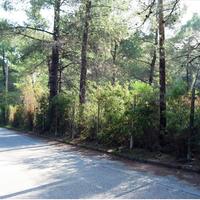 Земельный участок в Греции, 3376 кв.м.