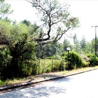 Земельный участок в Греции, 3376 кв.м.