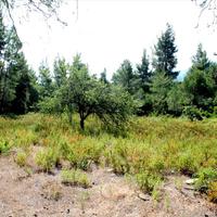 Земельный участок в Греции, 3376 кв.м.