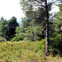 Земельный участок в Греции, 3376 кв.м.