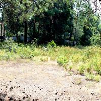 Земельный участок в Греции, 3376 кв.м.