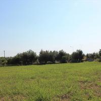 Земельный участок в Греции, 5800 кв.м.