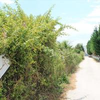 Land plot in Greece, 1200 sq.m.