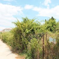 Land plot in Greece, 1200 sq.m.
