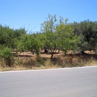 Land plot in Greece