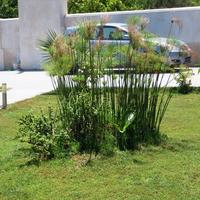 Other in Greece, 80 sq.m.