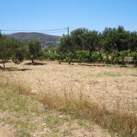 Land plot in Greece