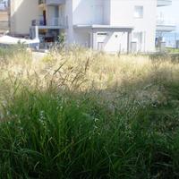 Земельный участок в Греции, 300 кв.м.