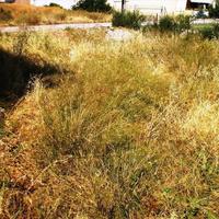 Земельный участок в Греции, 300 кв.м.