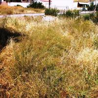 Земельный участок в Греции, 300 кв.м.