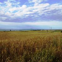 Земельный участок в Греции, 8500 кв.м.