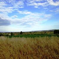 Земельный участок в Греции, 8500 кв.м.