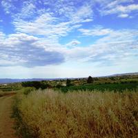 Земельный участок в Греции, 8500 кв.м.