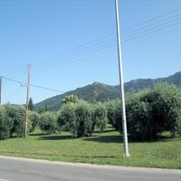 Земельный участок в Греции