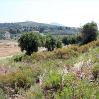 Land plot in Greece, 1950 sq.m.