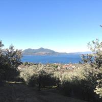 Land plot in Greece, 4000 sq.m.